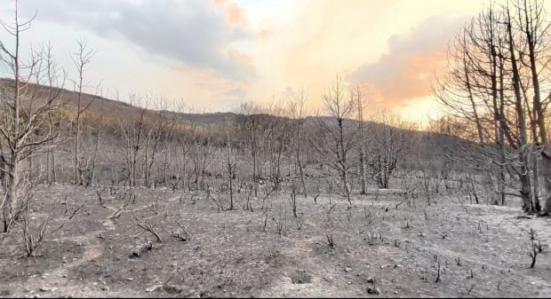 terreno incendiado