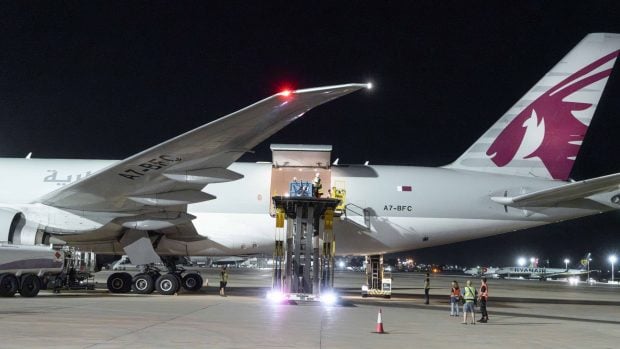 Avión fletado especialmente para el traslado de los animales