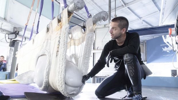 Llegada de una de las belugas al Oceanogràfic