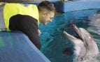 Uno de los cuidadores del Oceanogràfic con uno de los delfines rescatados de Marineland.