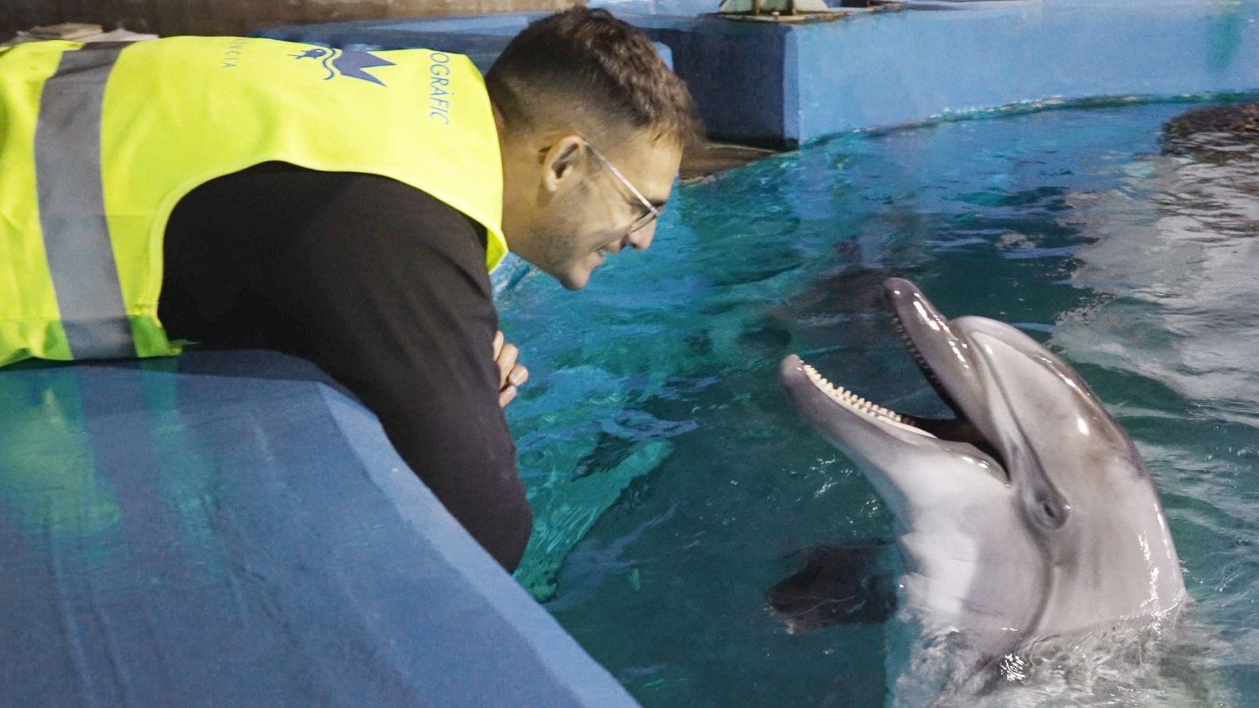 Uno de los cuidadores del Oceanogràfic con uno de los delfines rescatados de Marineland