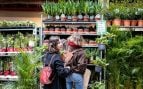 mercadillo de plantas