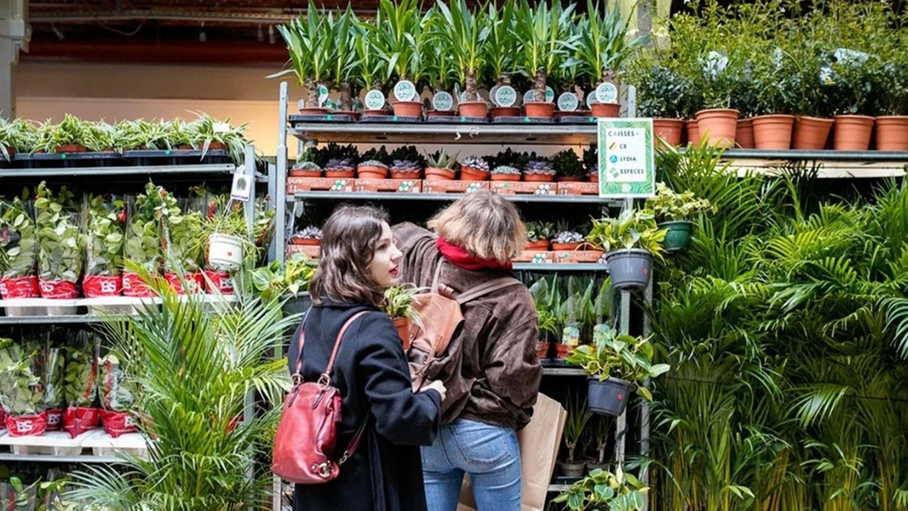 Mercadillo de Plantes pour Tous. (Foto: Plantes Pour Tous)