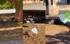 mendigos infigentes parque Krekovic Palma