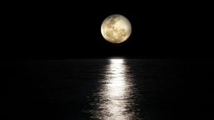 Luna y Tierra