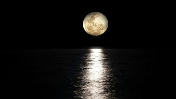 Luna y Tierra