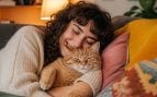 Gatos y caricias