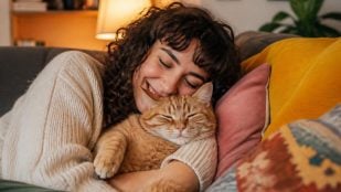 Gatos y caricias