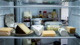 Queso, comida, curiosidades