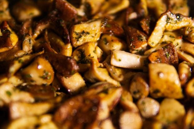 Receta de boletus