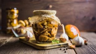 Boletus