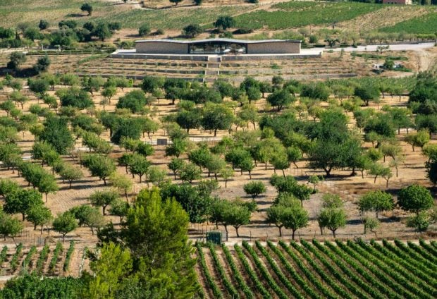 Mallorca, finca, Pierce Broderick