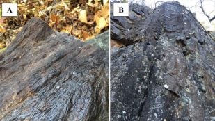 Rocas de la estructura de impacto Uhackatik estudiadas por investigadores en Quebec, Canadá