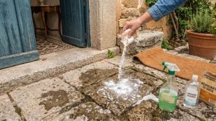 Instan a la población a rociar en la entrada de casa vinagre blanco, detergente líquido y bicarbonato de sodio (Imagen hecha con IA).