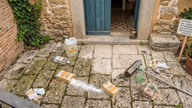 Instan a la población a rociar en la entrada de casa vinagre blanco, detergente líquido (Imagen hecha con IA).