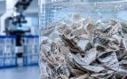 ostras, medio ambiente, molusco
