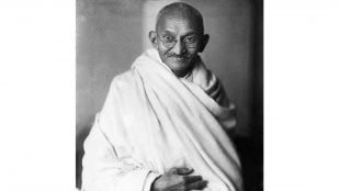 Gandhi, frase, naturaleza, bosques