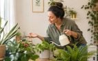 Cuidado de las plantas. Generado por IA.