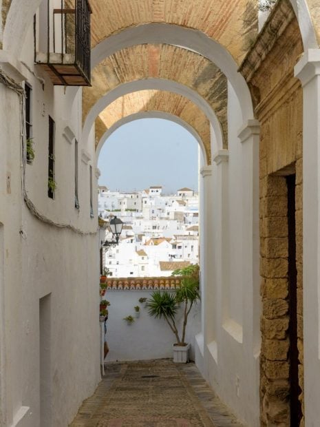 antonio carmona casa cadiz