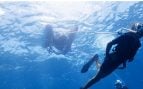 Decathlon presenta Easybreath Dive, la innovadora forma de explorar el fondo marino
