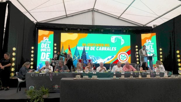 queso cabrales premio nacho sandoval