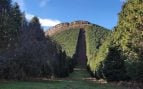 Monte Eretza (Bizkaia). Foto: Europa Press.