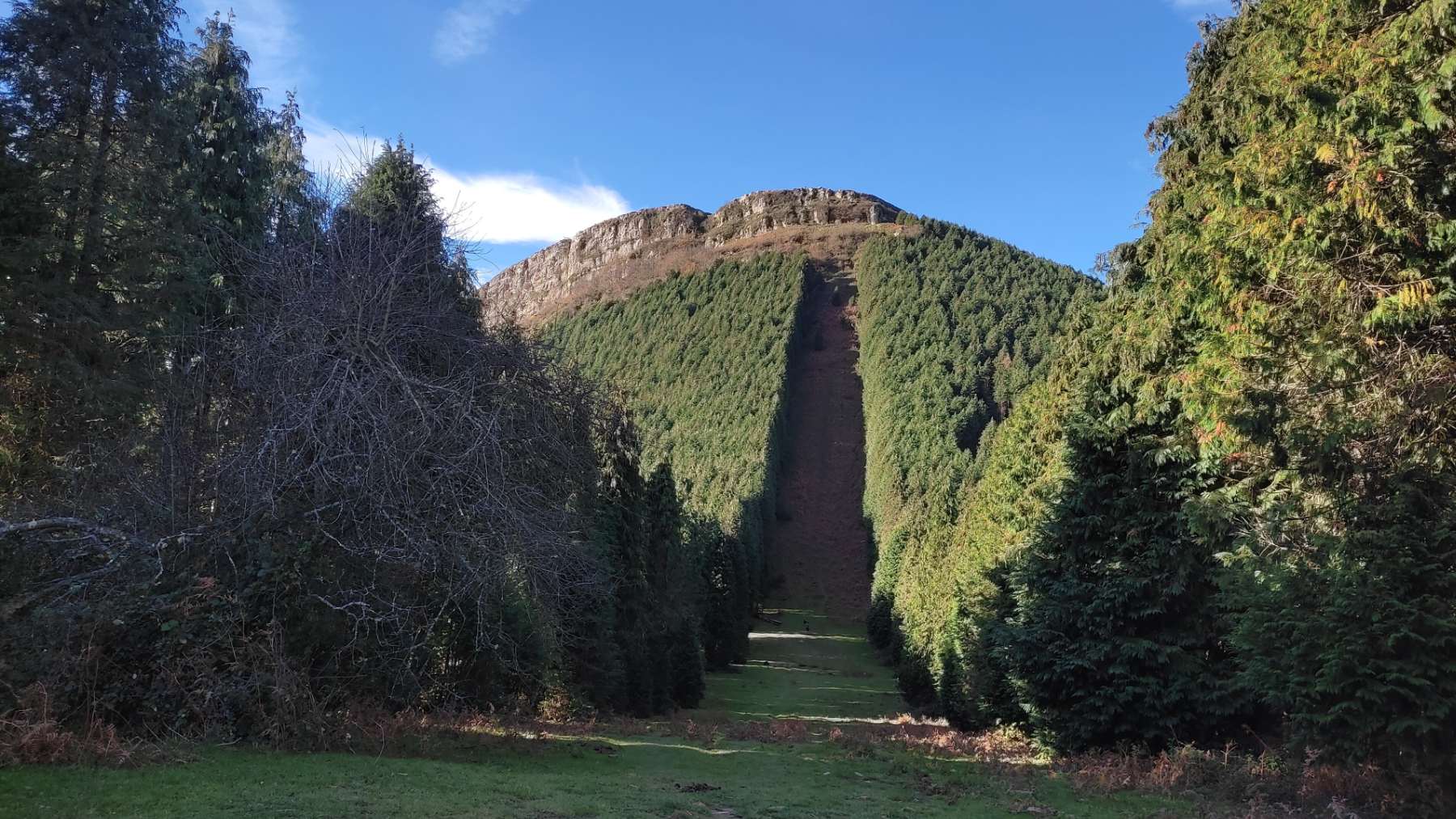 Monte Eretza (Bizkaia). Foto: Europa Press.