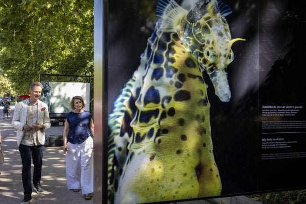 Tim Flach y Marta Rivera de la Cruz durante la apertura de la exposición en el emblemático parque madrileño. (Foto: Ayuntamiento de Madrid).