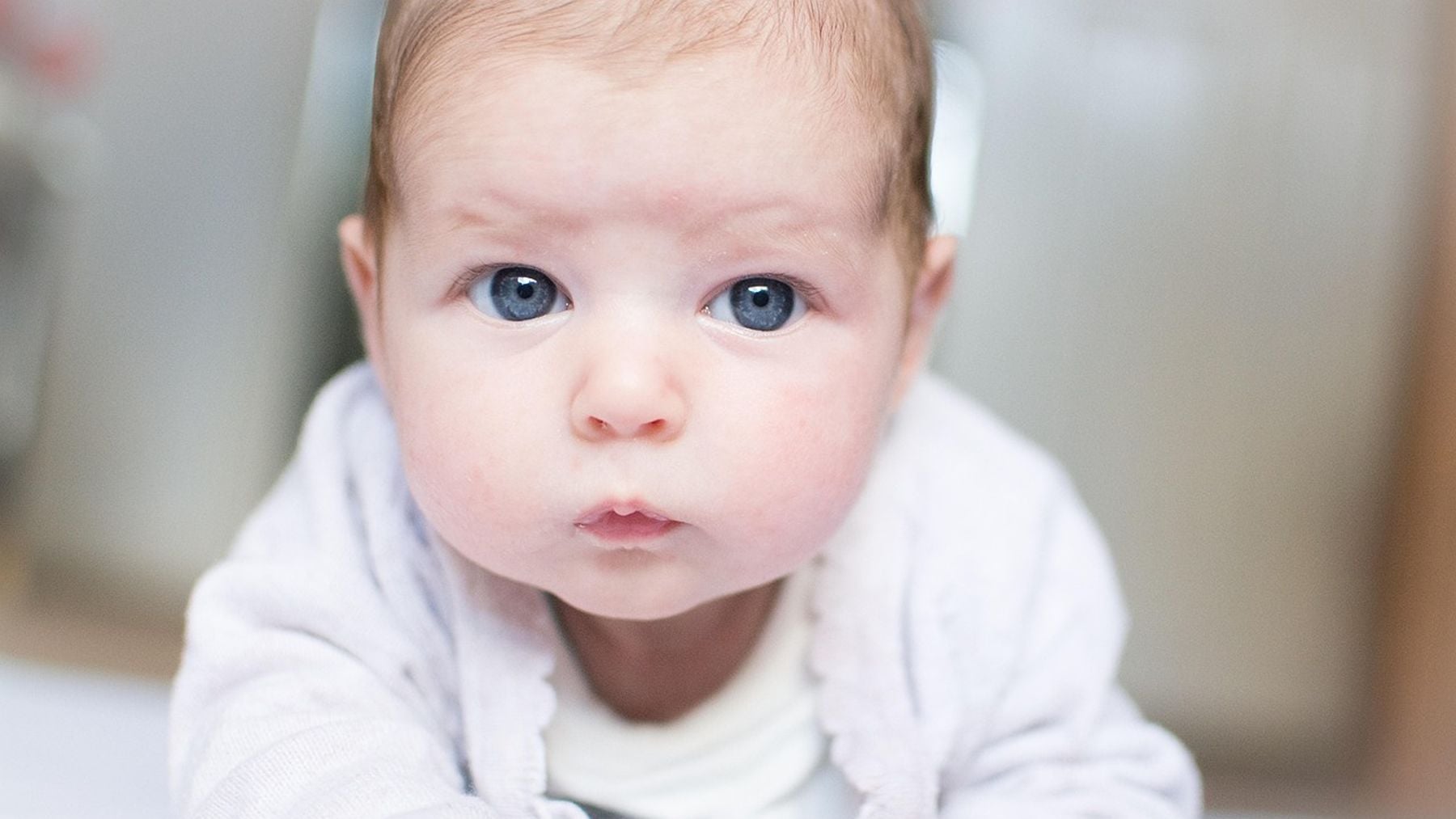 Tiene sólo 5 letras y significa bosque: el nombre de niño que más eligieron los padres vascos en 2025 y su origen