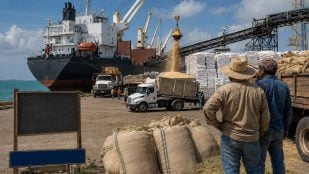 Descarga de alimentos desde un buque de carga en un puerto
