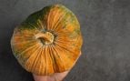 calabaza
