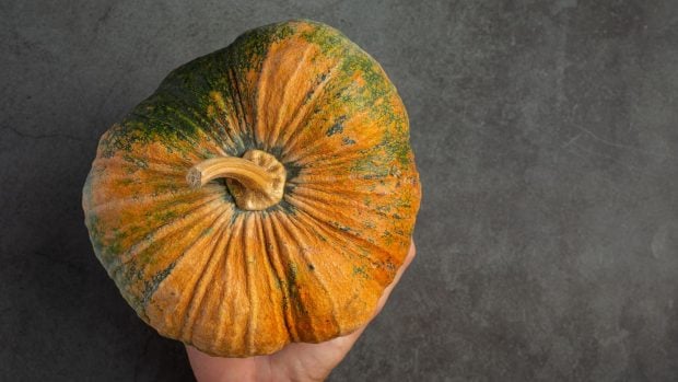 calabaza