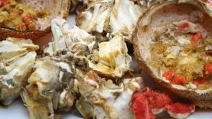 Receta de centollo