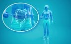 Alerta sanitaria por las cápsulas de microbiota fecal: «Pueden producir enfermedades»