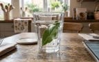 Los expertos recomiendan poner una hoja de laurel en un vaso con agua: para qué sirve y por qué lo piden