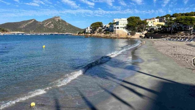 sant elm algas