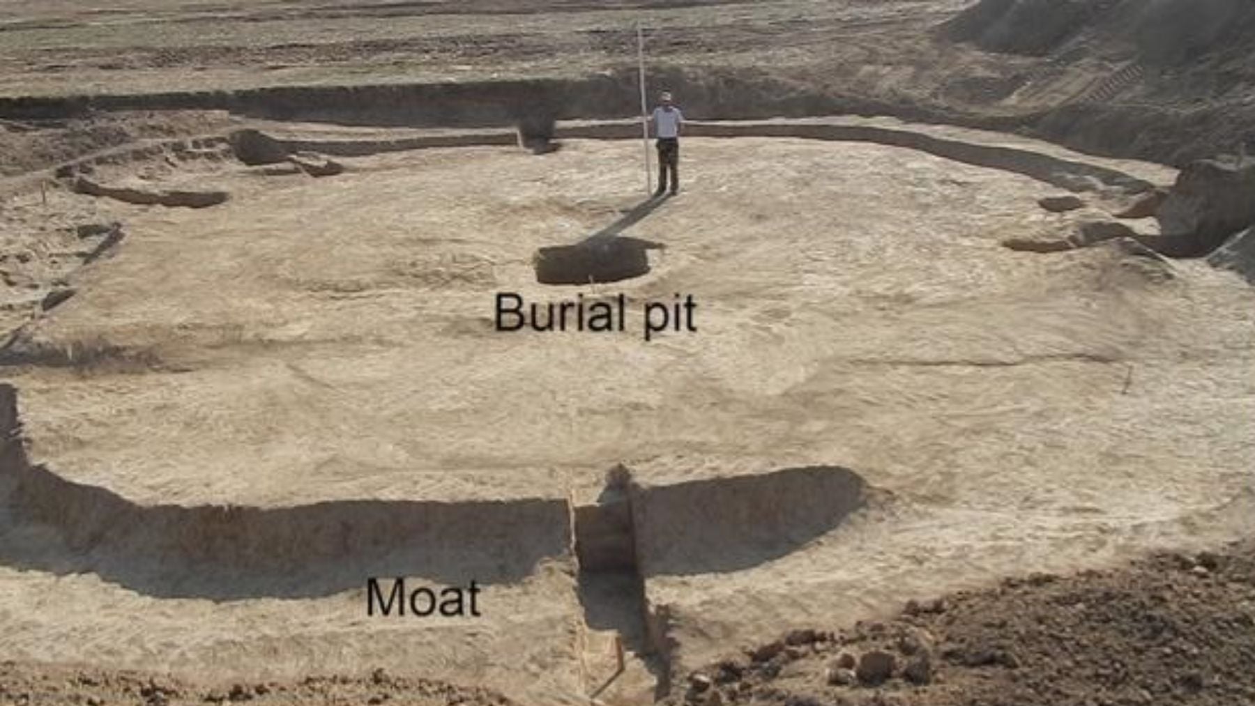 El descubrimiento que descoloca a los arqueólogos: la civilización escita era tan avanzada que enterraba a sus soldados con caballos adultos y sanos