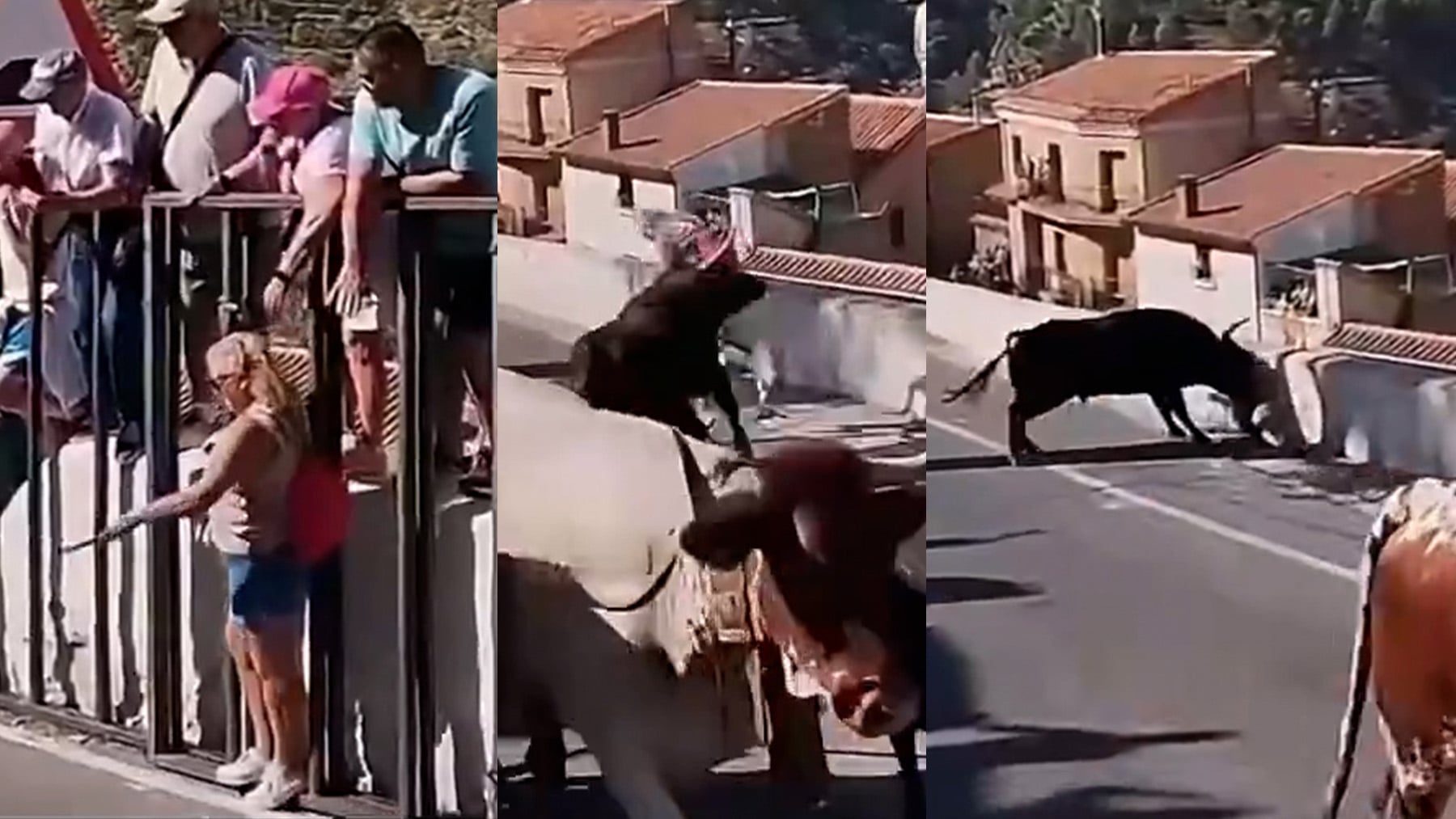 Muere una mujer embestida y corneada por un toro en el encierro de Ayna (Albacete)