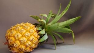 Piña