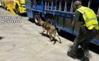 inmigrantes ilegales, detenidos, camiones, Melilla, Guardia Civil, Policía Nacional