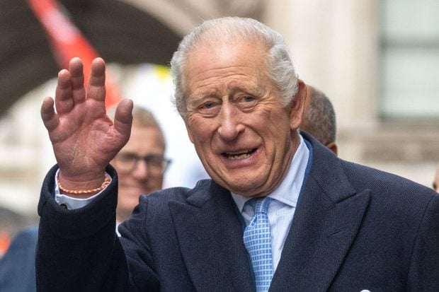 rey Carlos III, Harry, Meghan