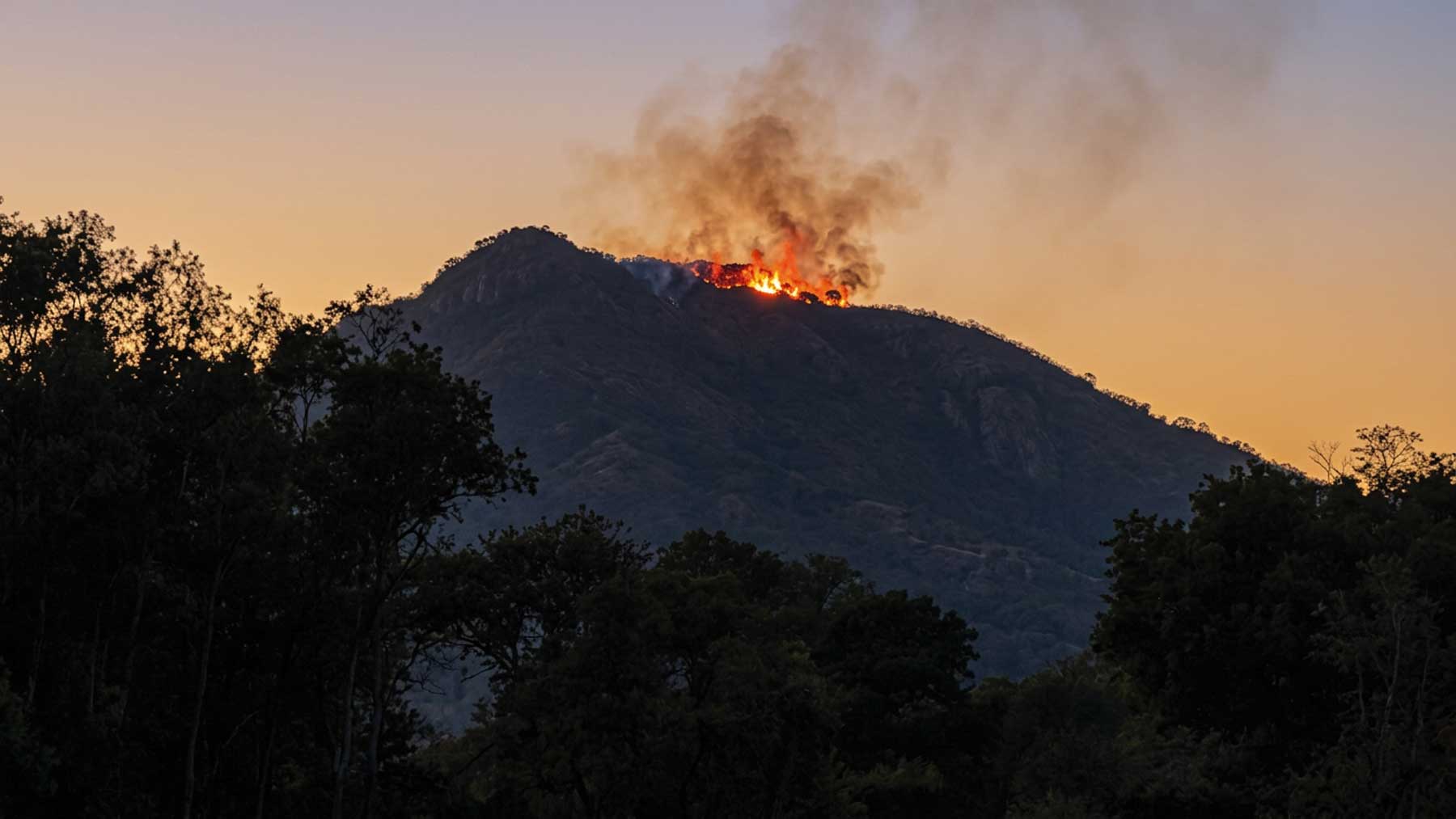 Grave incendio en el monte de la Tortuga de Ceuta, tomado por asentamientos de invasores