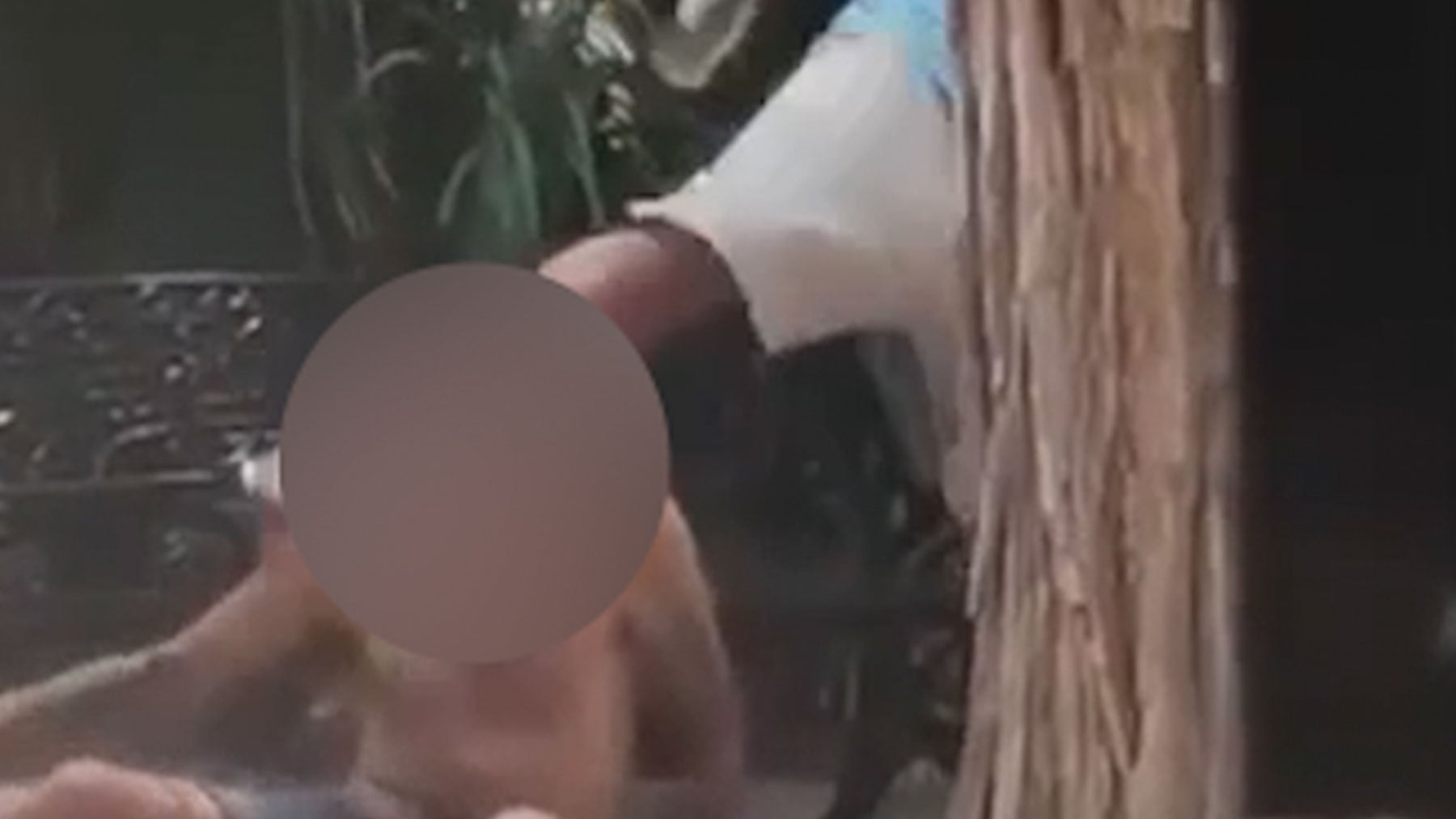 Un individuo propina a otro a pleno día una paliza en una plaza en el centro de Alicante