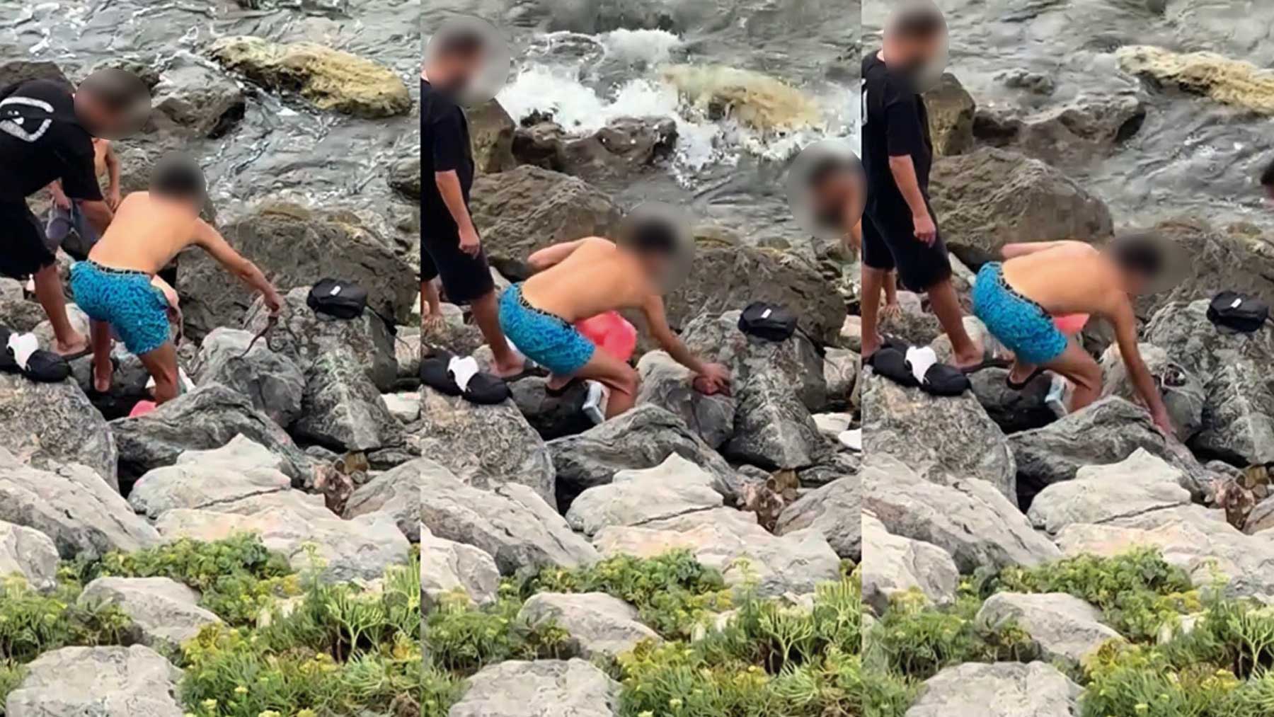Un grupo de inmigrantes marroquíes pesca un pulpo y lo mata a pedradas en una playa de Ceuta