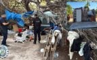 Asentamiento ilegal Ibiza