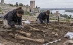 Huesos de camellos medievales, hallazgo arqueológico Edad Media, arqueología medieval, camellos domésticos en la Edad Media.