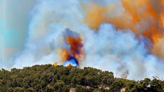 incendio forestal
