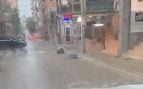 Las fuertes lluvias arrastran las bolsas de basura acumuladas por las calles de Llucmajor