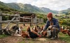 voluntarios para vivir gratis en una granja