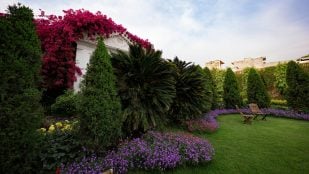 jardín parezca más grande